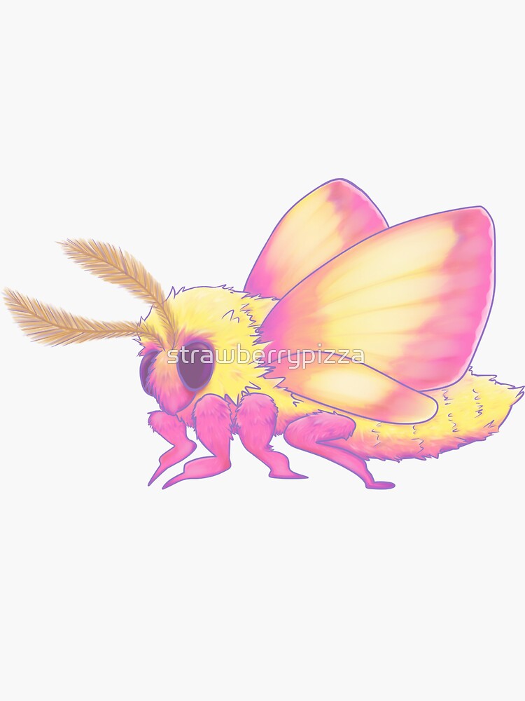 Rosy Maple Moth Waterproof Vinyl Sticker – Botanical Bright - Add a Little  Beauty to Your Everyday