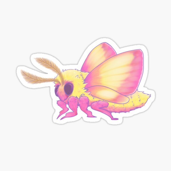 Fluffy Poodle Moth and Pink Lemonade Moth Sticker Set of 2 / Rosy Maple Moth  Sticker / Fluffy Moth Sticker / Laptop Sticker / Vinyl Stickers 