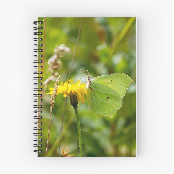 Item preview, Brimstone Butterfly designed and sold by Sue Robinson.