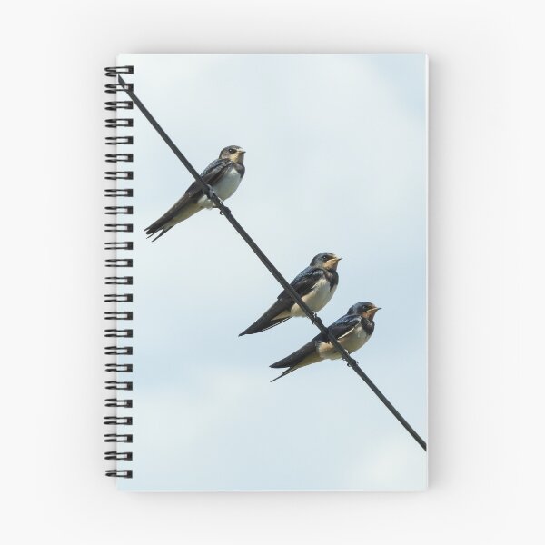 Item preview, Barn Swallows designed and sold by Sue Robinson.
