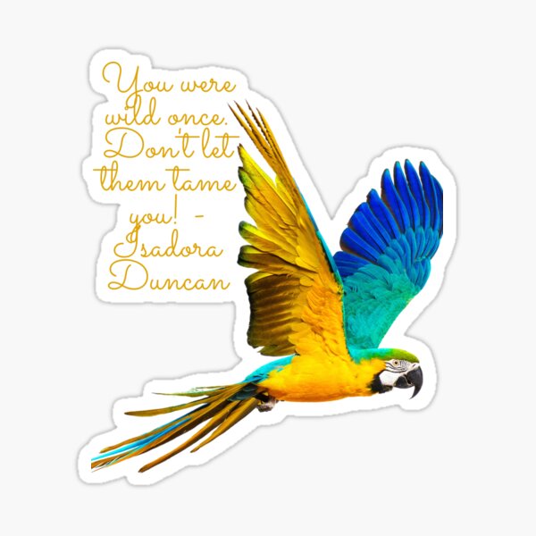 You were wild once - Gold Sticker