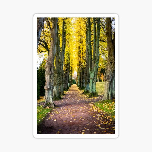 Fall (Crichton Gardens, Dumfries) Sticker