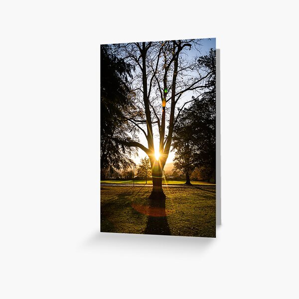 Sun Shining (Crichton Gardens, Dumfries) Greeting Card
