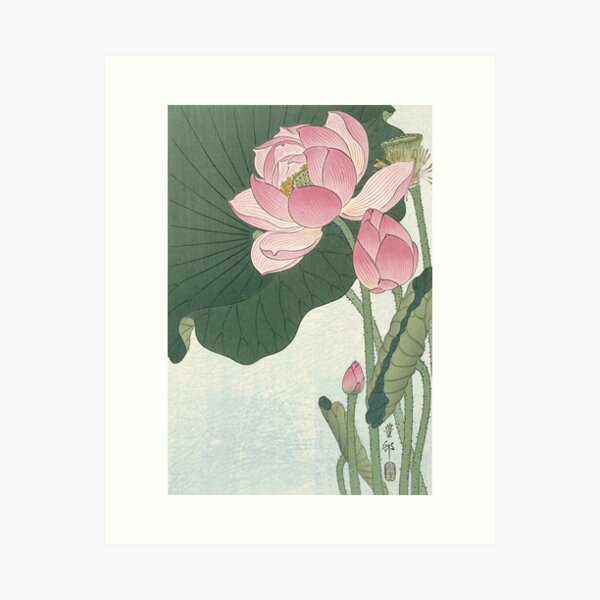 Lotus Flower - Japanese Block Print Art Print