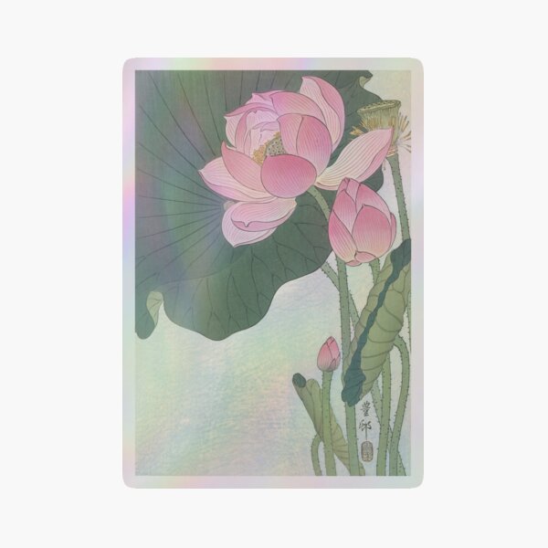 sh,small,507x507-pad,600x600,