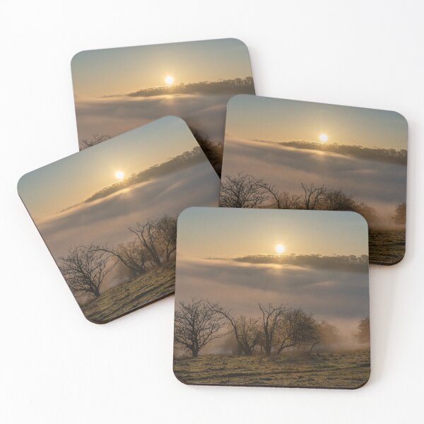 Item preview, An Ashridge Sunrise designed and sold by Steve Liptrot Photography.