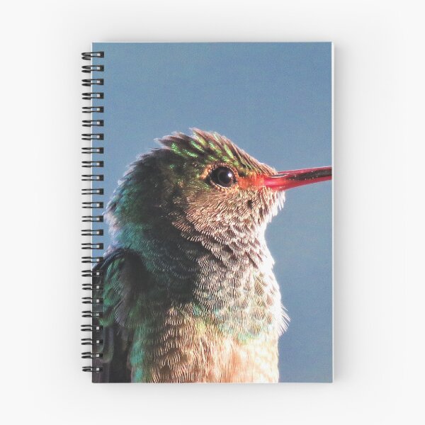 Item preview, Hummingbird Macro Photo  designed and sold by julyperson.