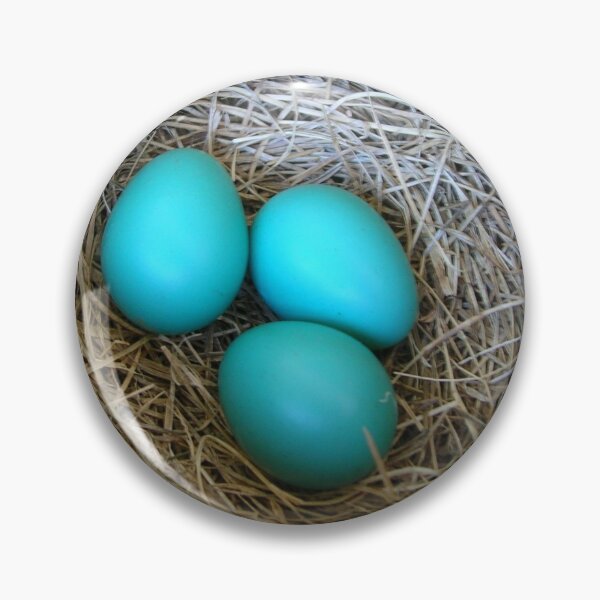 Item preview, THREE BLUE EGGS PHOTO designed and sold by Artter20.