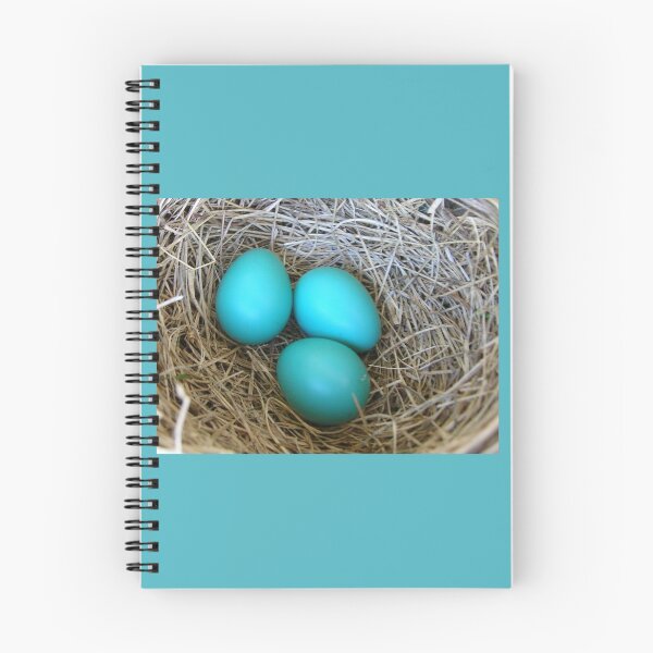 Item preview, THREE BLUE EGGS PHOTO designed and sold by Artter20.