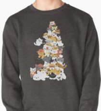 cat pile Pullover