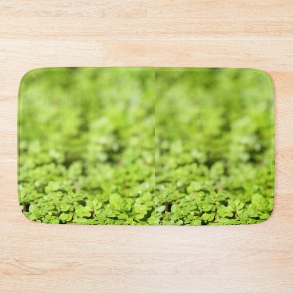 Item preview, Green designed and sold by Paula Bielnicka.