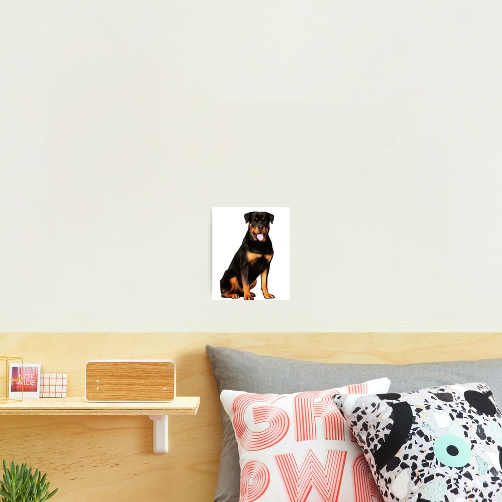 Vista previa del artículo con la obra «Lámina fotográfica», diseñado y vendido por whyitsme.