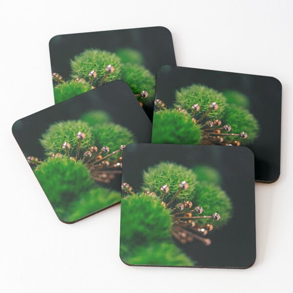 Item preview, Moss Balls with accent designed and sold by killies.