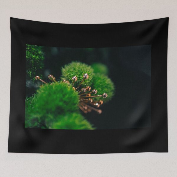 Item preview, Moss Balls with accent designed and sold by killies.