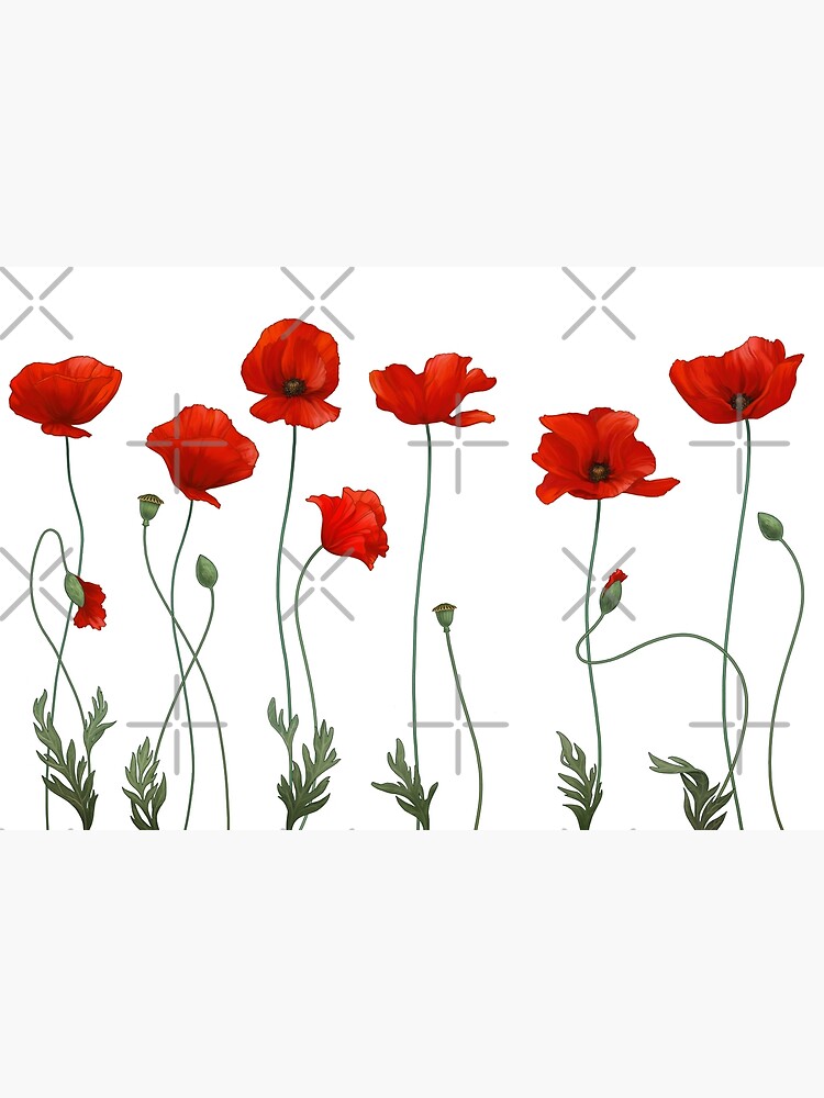 Poppy Stems. by ikerpazstudio
