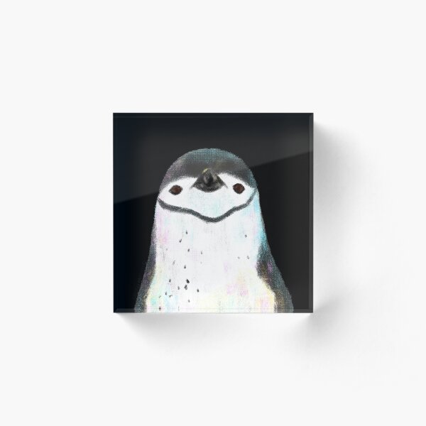 Chinstrap Penguin Acrylic Block