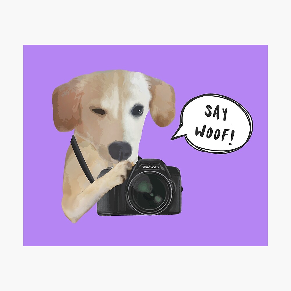 woof camera