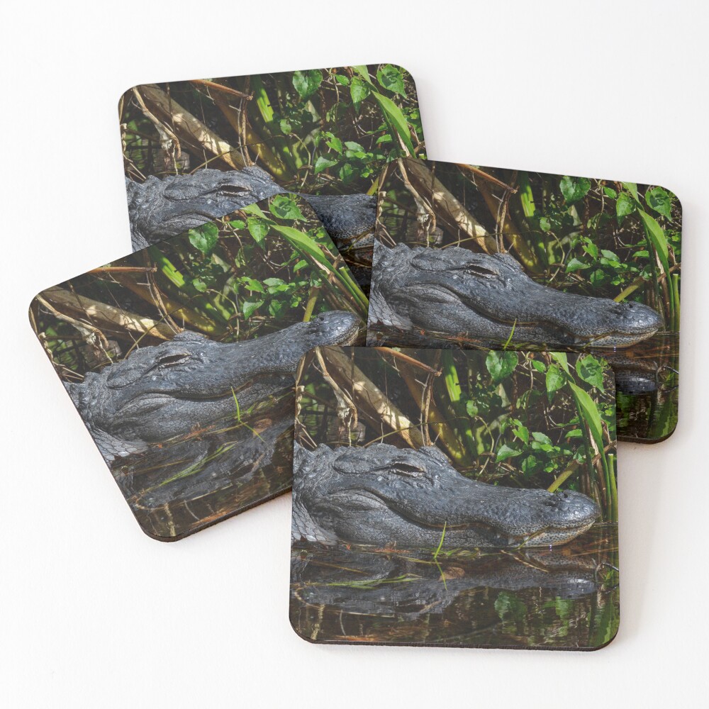 Item preview, Coasters (Set of 4) designed and sold by RewskiPhotos.