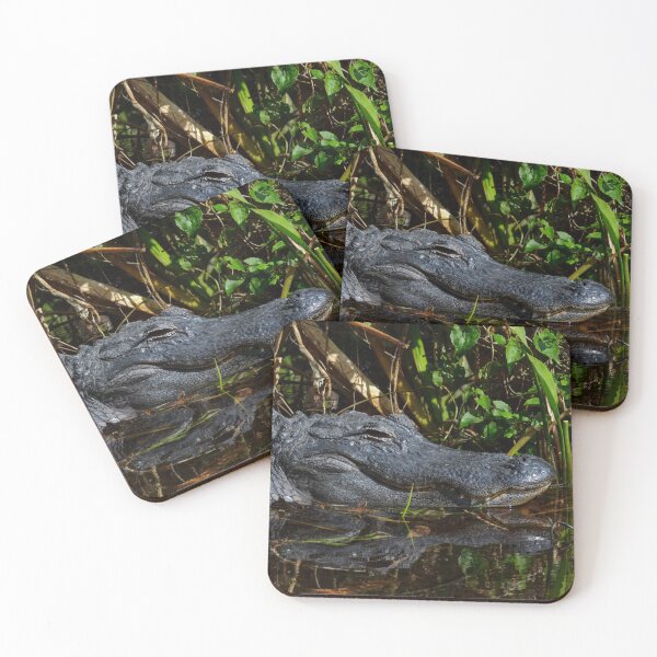 Item preview, Gator Swamp designed and sold by RewskiPhotos.