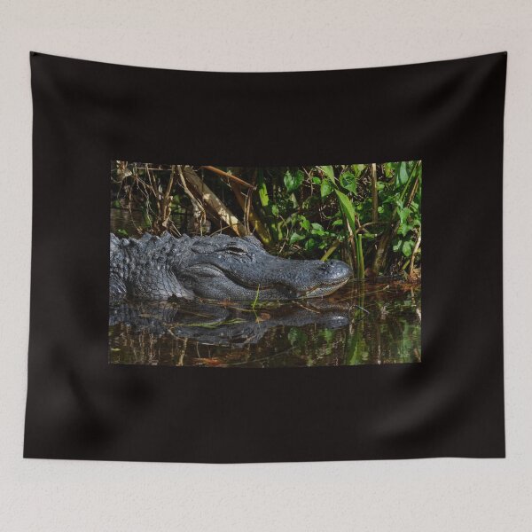 Item preview, Gator Swamp designed and sold by RewskiPhotos.