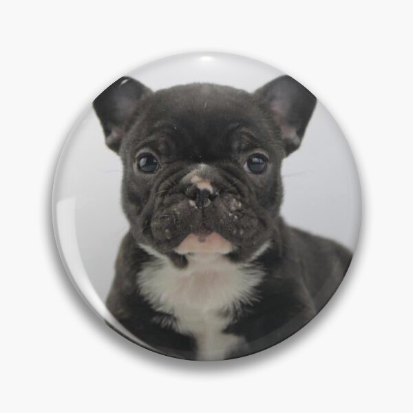 Item preview, French Bulldog Dog pet art cute dogs pets cute love designed and sold by Coolstuff4you71.