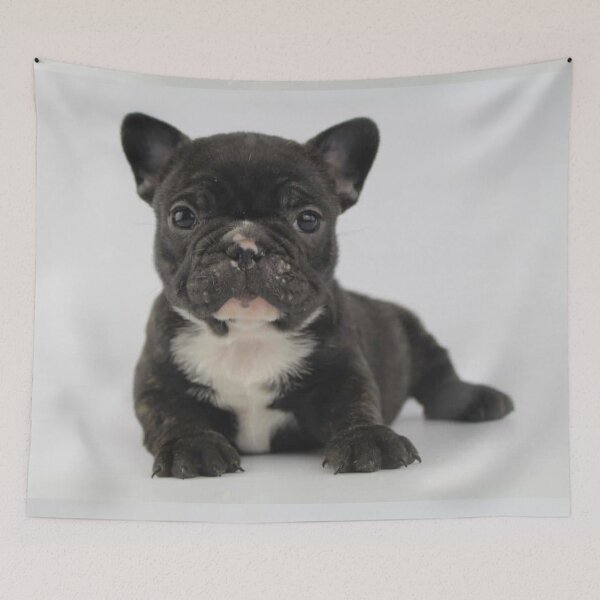 Item preview, French Bulldog Dog pet art cute dogs pets cute love designed and sold by Coolstuff4you71.