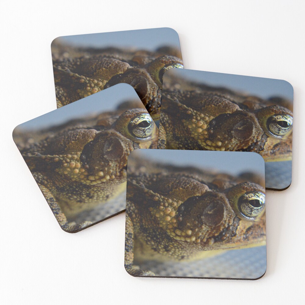 Item preview, Coasters (Set of 4) designed and sold by RewskiPhotos.