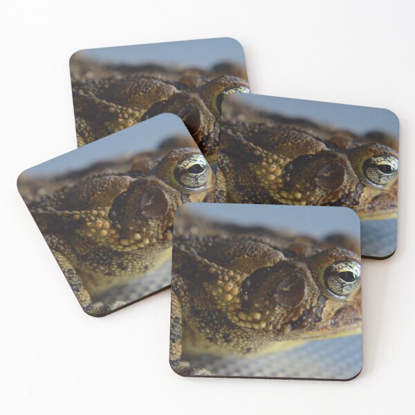 Item preview, Toadally Radical designed and sold by RewskiPhotos.