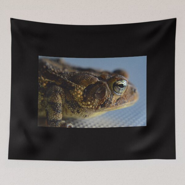 Item preview, Toadally Radical designed and sold by RewskiPhotos.