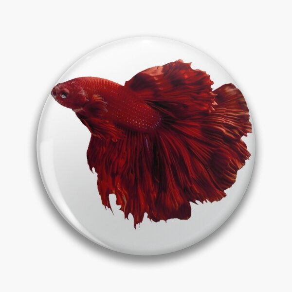 Item preview, Red Betta designed and sold by killies.