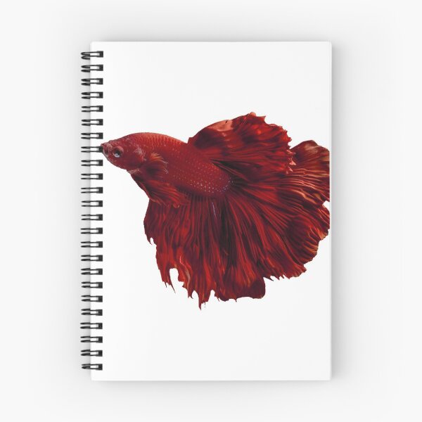 Item preview, Red Betta designed and sold by killies.