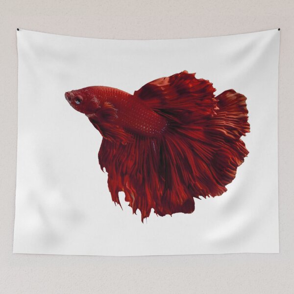 Item preview, Red Betta designed and sold by killies.
