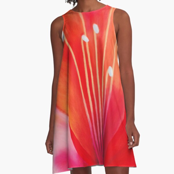 Spring Explosion A-Line Dress