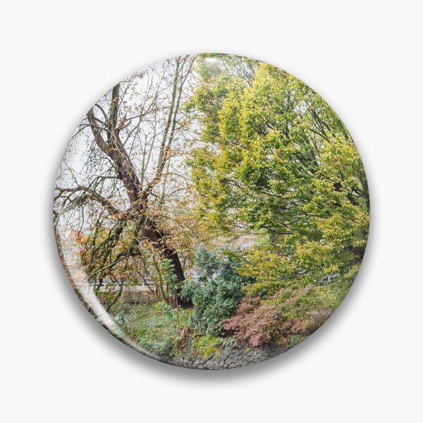 Aperçu de l'œuvre Arbres d'Amsterdam créée et vendue par GeoffreyPrints.