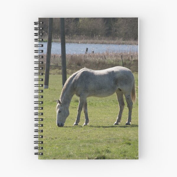 Item preview, Horse designed and sold by Robert Carr.