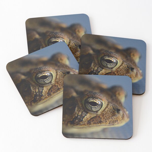 Item preview, Hypno-Toad designed and sold by RewskiPhotos.