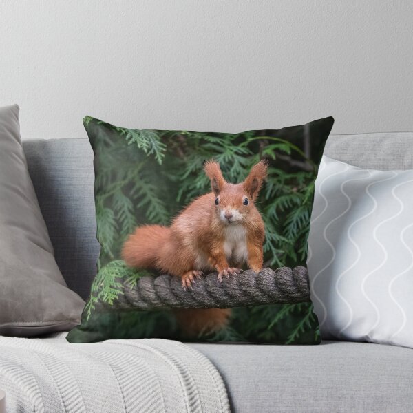 Item preview, Red Squirrel designed and sold by Steve Liptrot Photography.