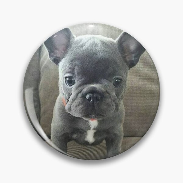 Item preview, French Bulldog Dog pet portrait cute dogs pets cute love designed and sold by Coolstuff4you71.
