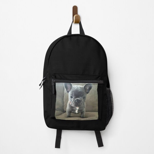Item preview, French Bulldog Dog pet portrait cute dogs pets cute love designed and sold by Coolstuff4you71.