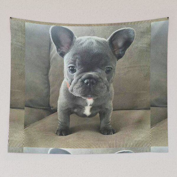 Item preview, French Bulldog Dog pet portrait cute dogs pets cute love designed and sold by Coolstuff4you71.