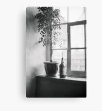 Bottle Plant Canvas Print