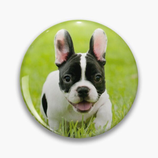 Item preview, French Bulldog Dog pet portrait cute dogs pets cute love designed and sold by Coolstuff4you71.