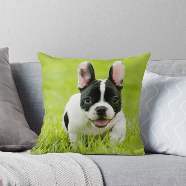 Item preview, French Bulldog Dog pet portrait cute dogs pets cute love designed and sold by Coolstuff4you71.