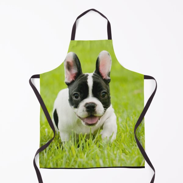 Item preview, French Bulldog Dog pet portrait cute dogs pets cute love designed and sold by Coolstuff4you71.