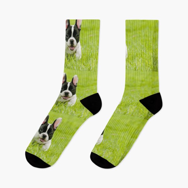 Item preview, French Bulldog Dog pet portrait cute dogs pets cute love designed and sold by Coolstuff4you71.