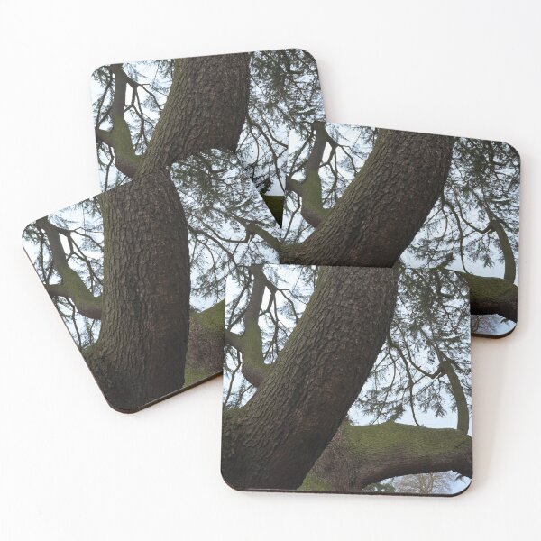 Item preview, Through the Canopy designed and sold by LozMac.