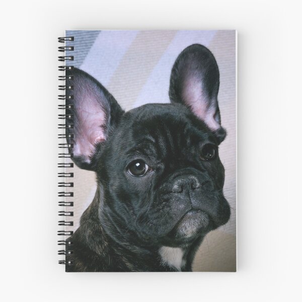 Item preview, French Bulldog Dog pet portrait cute dogs pets cute love designed and sold by Coolstuff4you71.