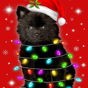 Pomeranian christmas sweater sale