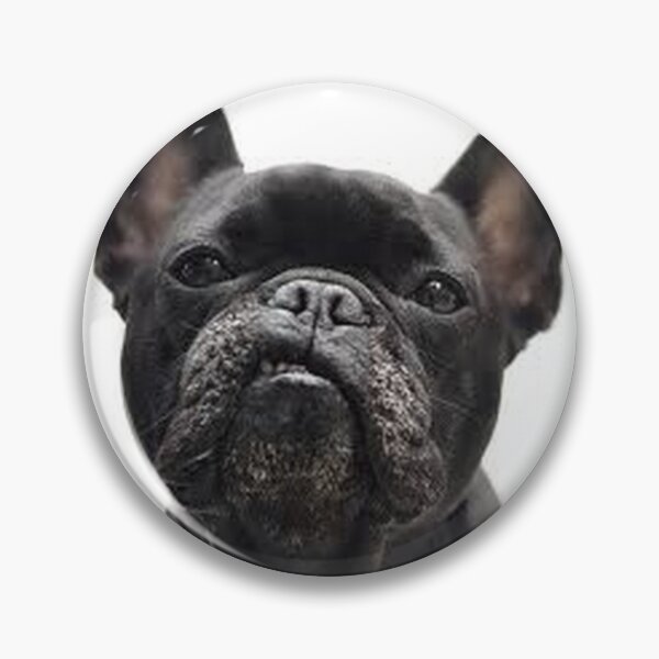 Item preview, French Bulldog Dog pet portrait fury dogs pets cute love designed and sold by Coolstuff4you71.