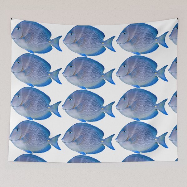 Item preview, Blue tang - Marine Fish designed and sold by killies.